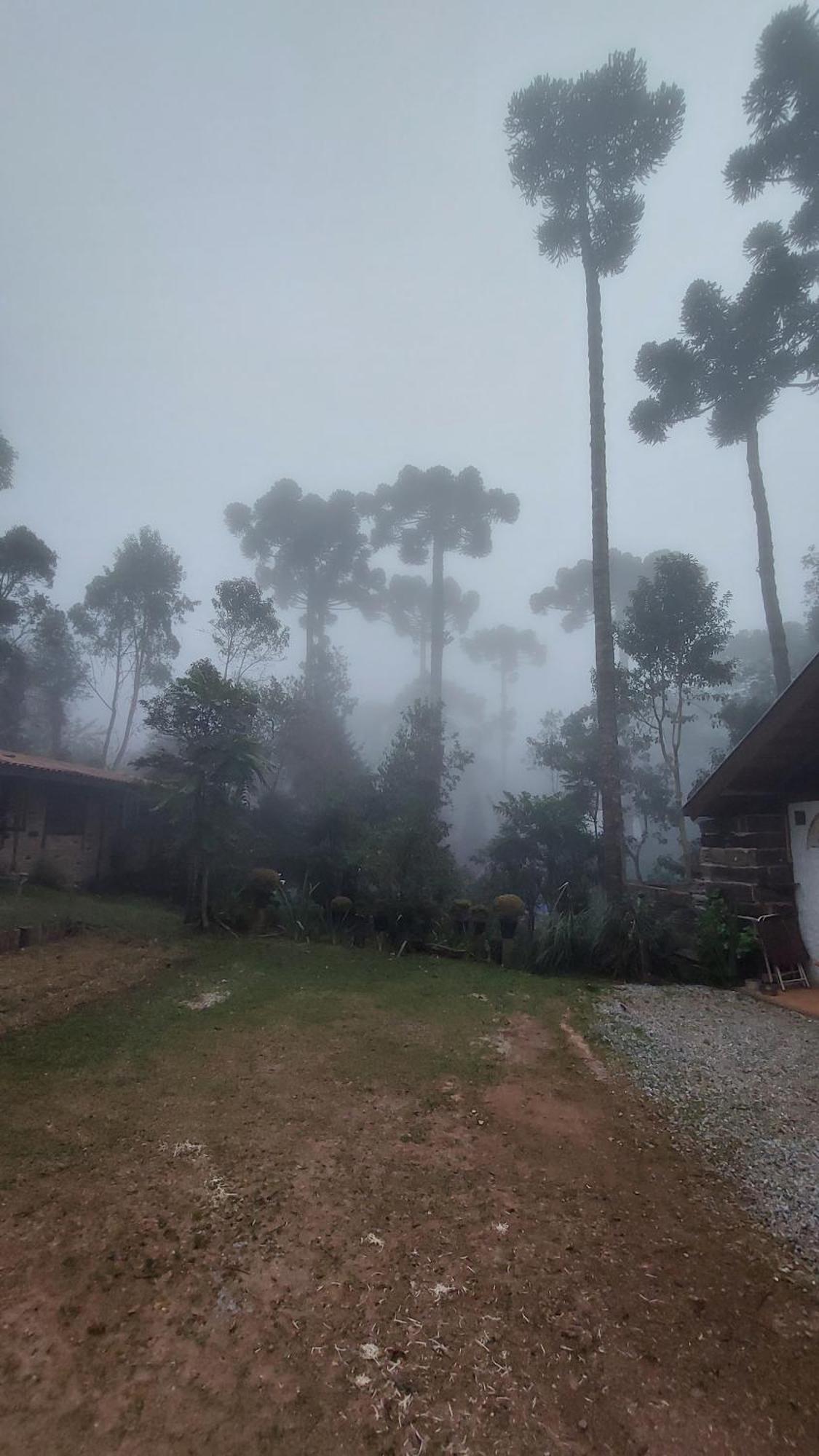 Chales Fora De Estrada Campos do Jordão Zewnętrze zdjęcie